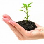 equity_capital_for_small_business equity_capital_for_small_business