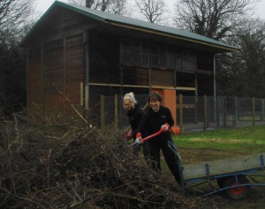 Work on the wild side for Burges Salmon volunteers is helping zoo find its place