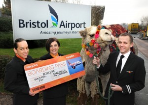 Don’t follow that camel: Iceland-bound air passengers greeted by ship of the desert