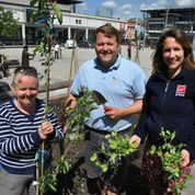 Firms urged to join urban gardening revolution taking root at Harbourside