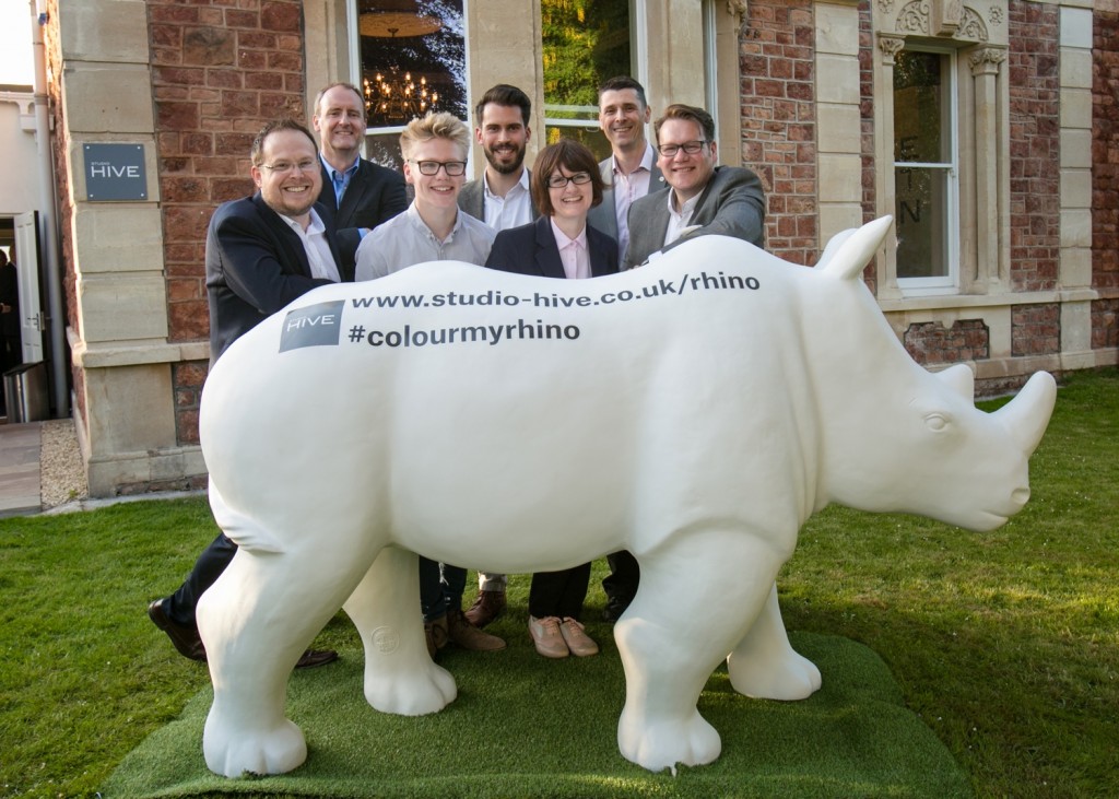 Studio HIVE marks first birthday by launching rhino colouring competition