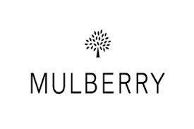 Mulberry bags its new group finance director from Dyson