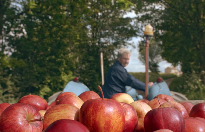 McCann Bristol’s cider TV advert presses home its journey from blossom to glass