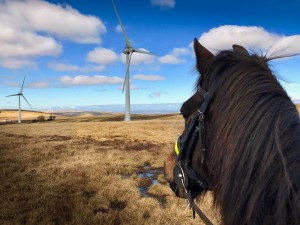 Triodos makes first investment in Welsh energy co-op behind community wind farm