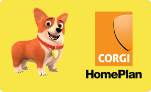 Second acquisition for fast-growing OVO as it snaps up Corgi HomePlan