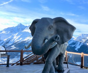 Swindon Business News Travel: Skiing in La Rosière, the French resort where Hannibal – and his elephants – crossed the Alps