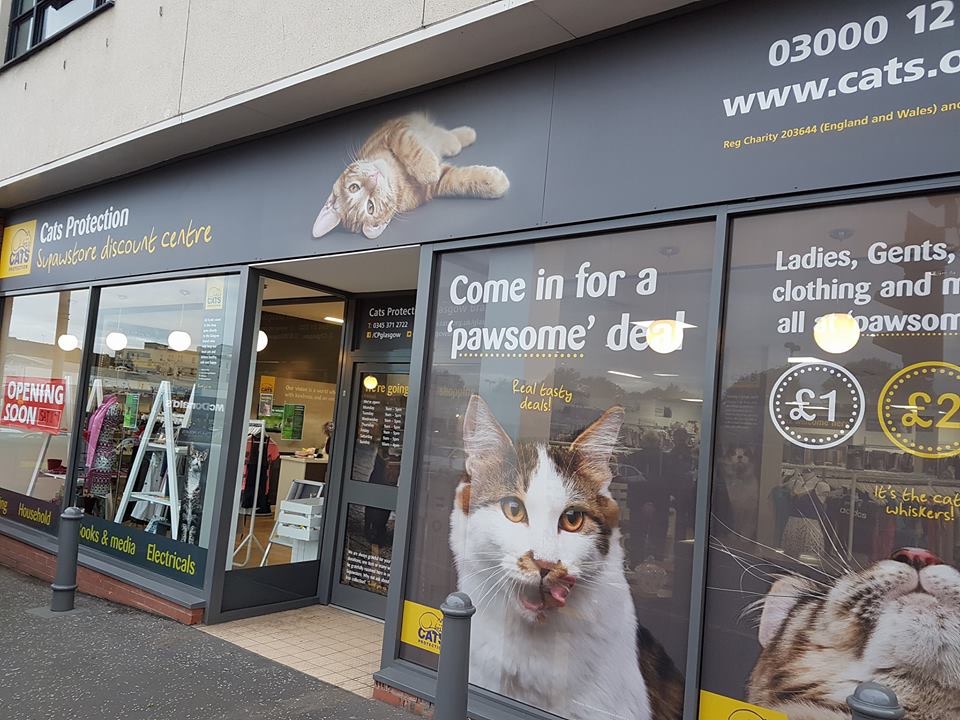 Cat charity looking for ‘purrfect’ location for new-style department store