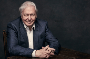 Bristol music charity to benefit from ‘in conversation’ event with Sir David Attenborough