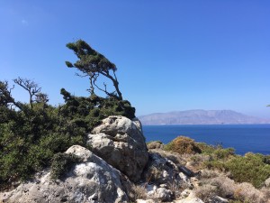 Bristol Business News Travel: Joining in with single-minded guests on a solo holiday in Crete