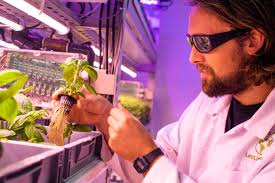 More seed funding for indoor farming firm as it looks to reap rewards of its pioneering tech