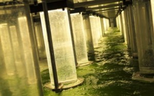 Wastewater treatment innovator taps more investment as it looks to clean up coasts and rivers