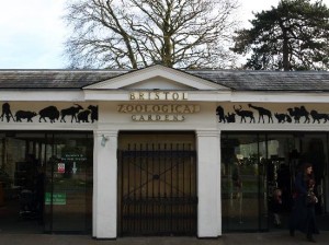 Chamber of Commerce backs Bristol Zoo’s relocation to city’s outskirts