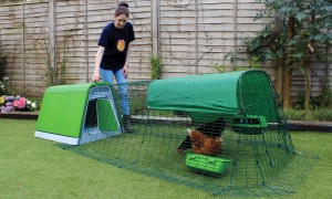 Bristol lawyers advise on £33m investment in pet firm behind the ‘designer’ Eglu chicken house
