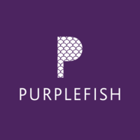 More growth at Bristol PR firm Purplefish as it lands half a dozen new clients