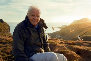 Bristol TV production firm caught up in BBC ‘censorship’ row over new David Attenborough series