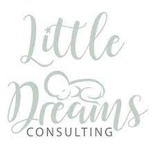 Top franchise award for Bristol mums on a mission to help tired parents get their babies to sleep