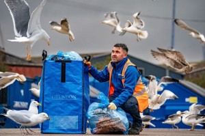 Scavenger-proof sacks brought to Bristol to end scourge of seagull raids on city’s commercial waste