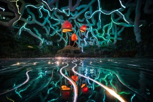 Expansion for Bristol’s unique Wake The Tiger attraction after it receives creative fund investment