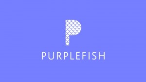 Employee ownership move by Purplefish PR puts its team in control of its future direction