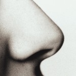 nose1