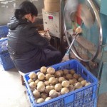 Factory worker wrapping aerial shells