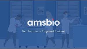 Major Euro-wide biotech deal latest transaction in fast-growing sector completed by Shaw & Co