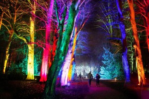 Bristol Business News travel: Ten great reasons to prise yourself off the sofa and head outdoors